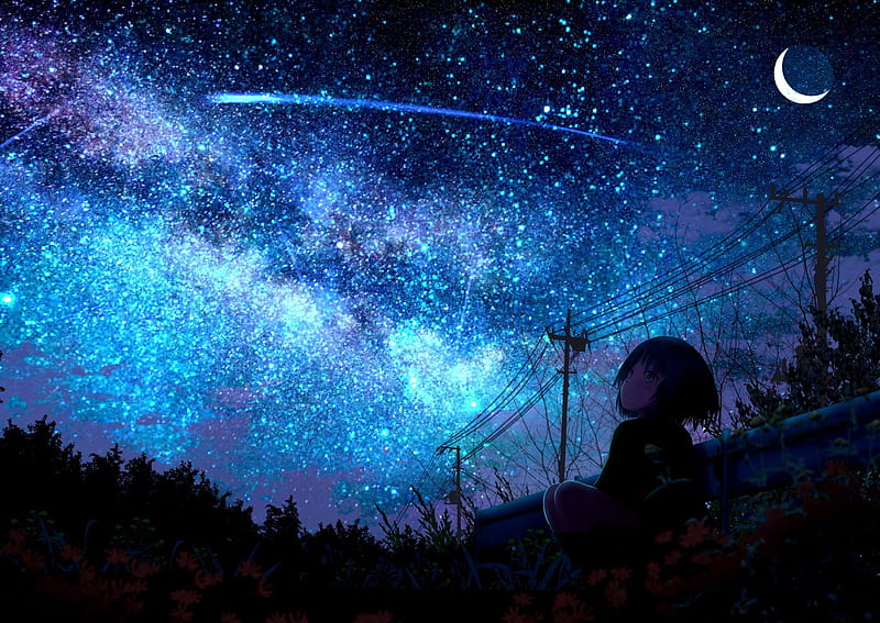 Lonely Girl Starring Shooting Star, HD wallpaper