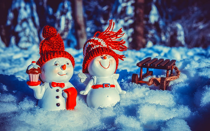 Snowmen, winter, close-up, Happy New Year, Xmas holidays, Merry Christmas, snowdrifts, HD wallpaper