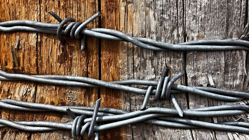 barbed wire wrapped around a wooden pole r, barbed, r, wire, pole, wood, HD wallpaper