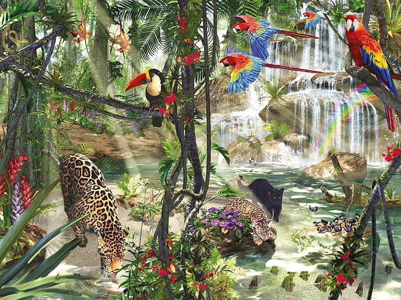 JUNGLE LIFE, birds, rainforest, cats, wild, HD wallpaper | Peakpx