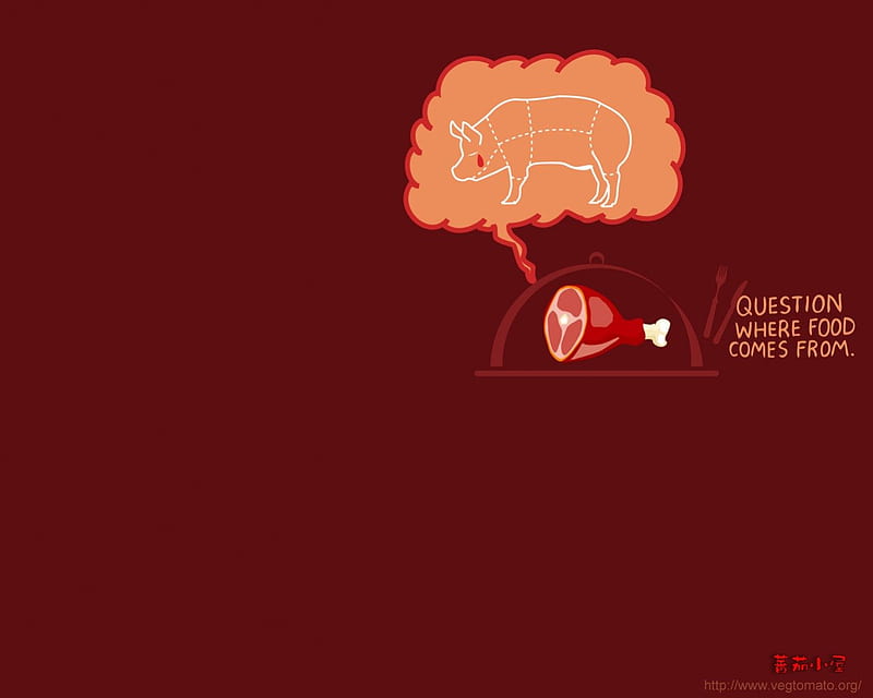 vegan , pig, veg vegetarian, vegan, HD wallpaper