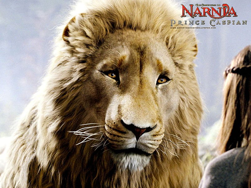 HD Aslan Narnia Background - PixelsTalk.Net