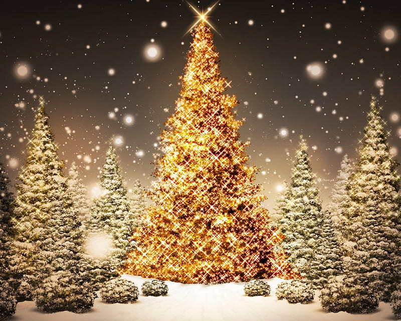 Xmas Tree And Lights, christmas, holiday, lights, nexus, snow, trees, winter, xmas, HD wallpaper