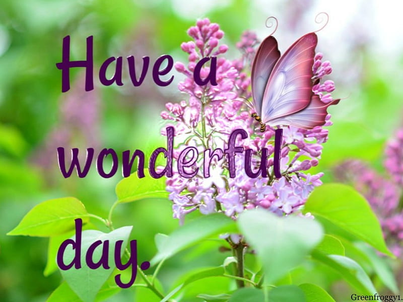 WONDERFUL DAY, DAY, COMMENT, WONDERFUL, CARD, HD wallpaper