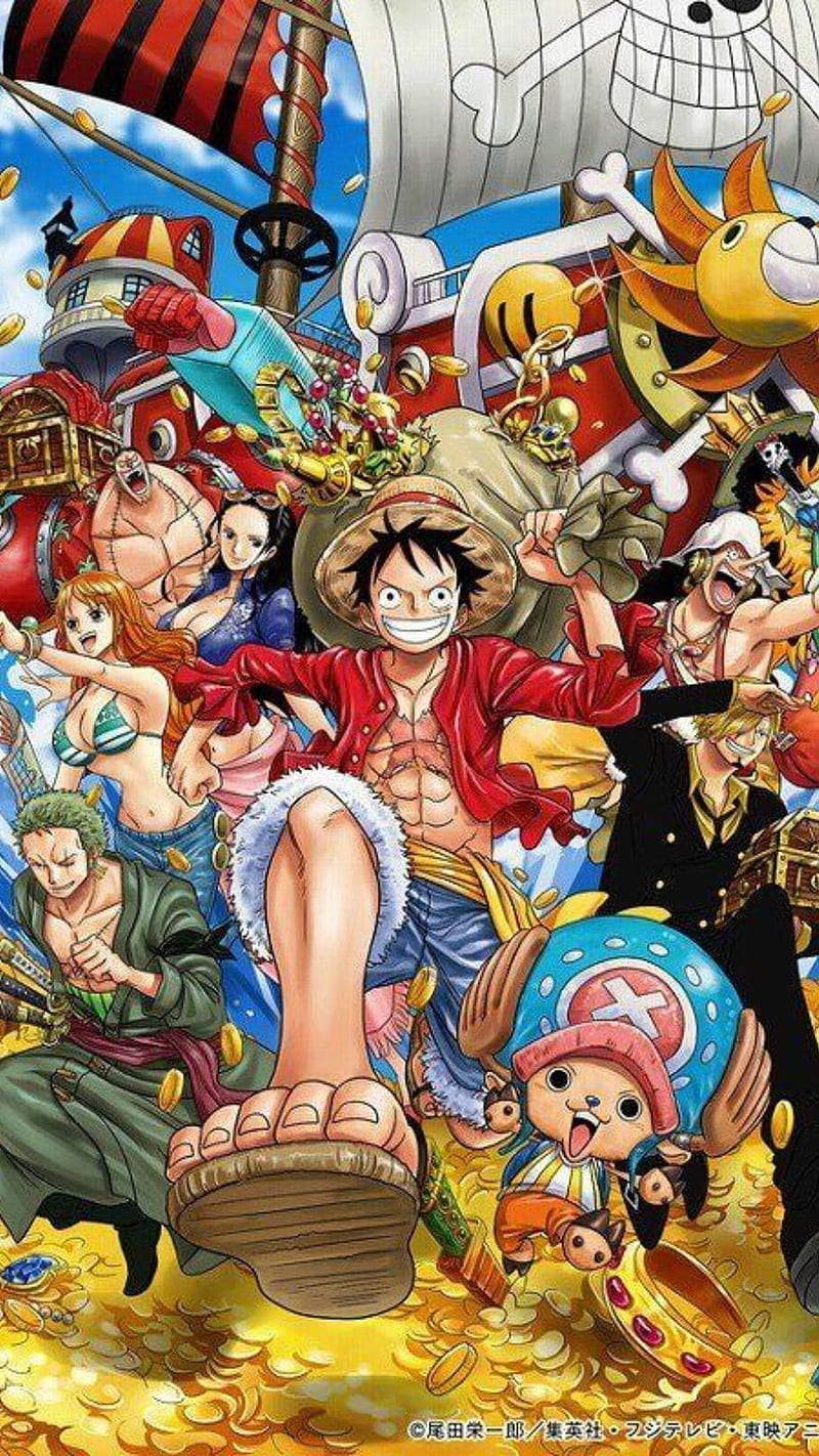 Top 35 Best One Piece iPhone, One Piece Anime, HD phone wallpaper
