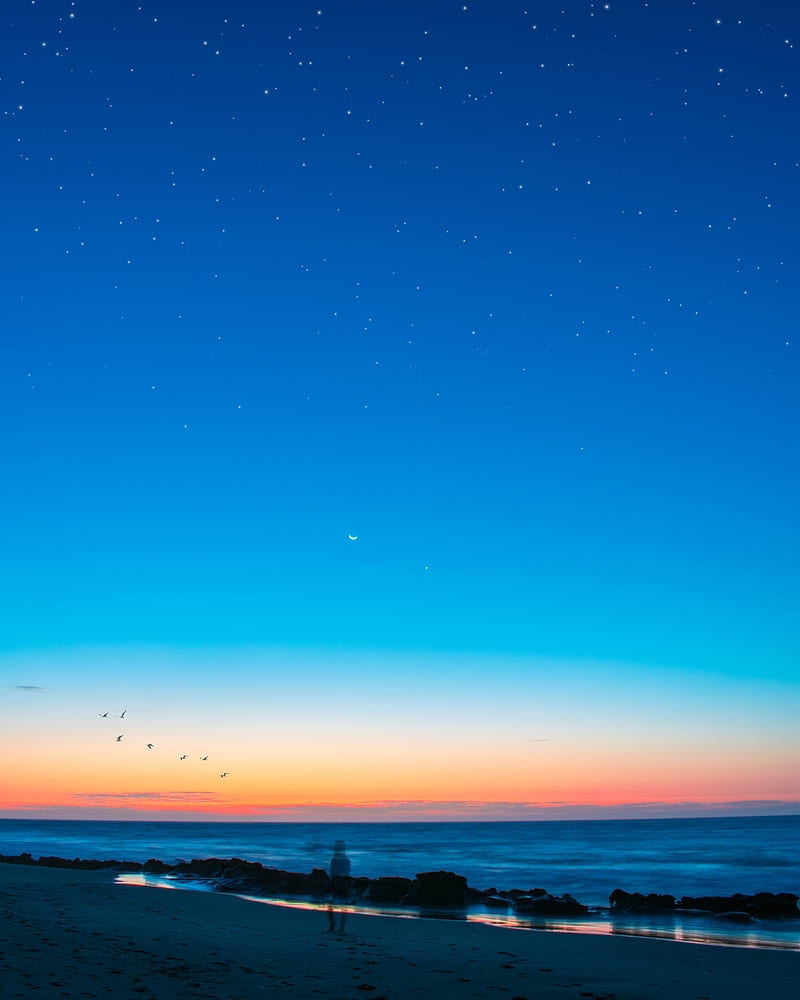beach, silhouette, dusk, coast, sunset, HD phone wallpaper