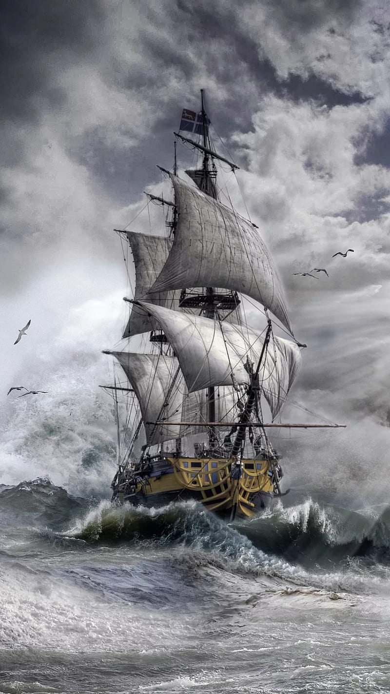 Ship, pirates, pirate, sailing, sea, storm, waves, birds, cloudy, HD phone  wallpaper | Peakpx