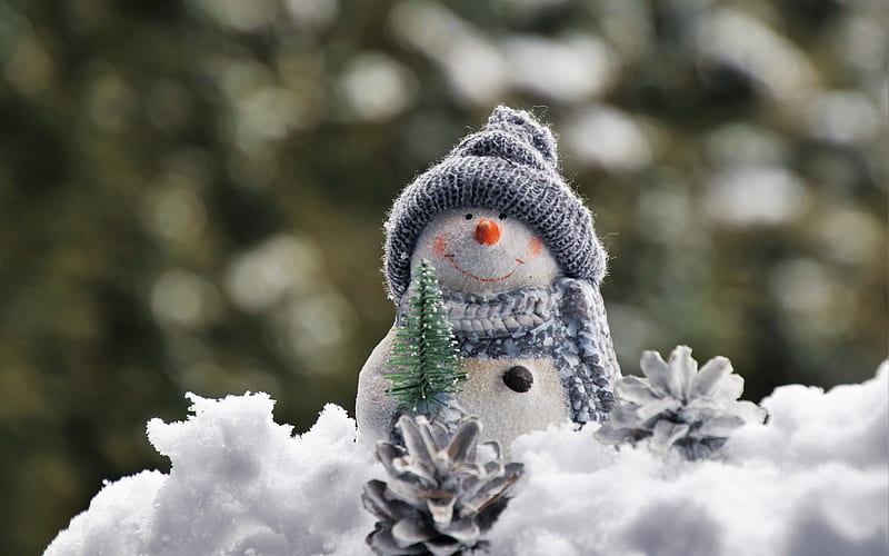Snowman, cute toy, winter concepts, snowman toy, cute toys, snow, winter, HD wallpaper