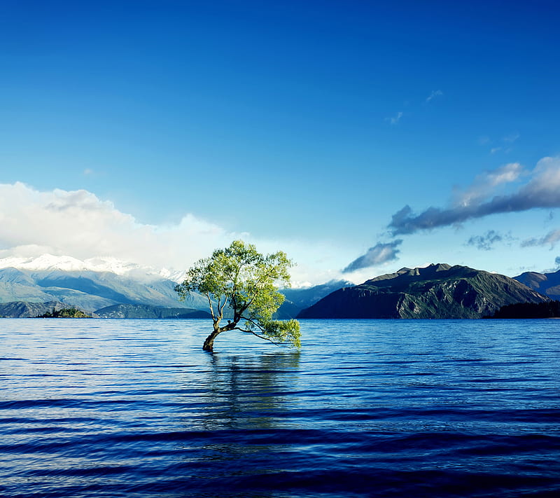 Scenery, lake, nature, sky, tree, water, HD phone wallpaper