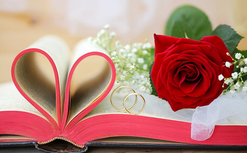ღFor You on Valentine's Dayღ, colorful, book, softness beauty, bonito,  engaged, HD wallpaper | Peakpx