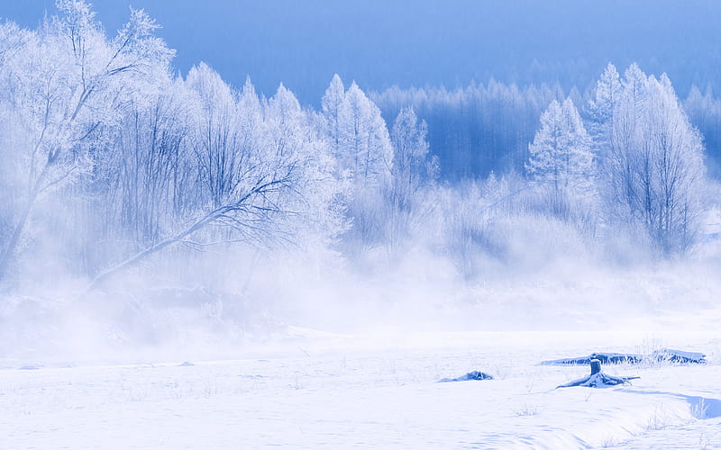 2018 Winter Hulunbeier Root river Snow Scenery, HD wallpaper