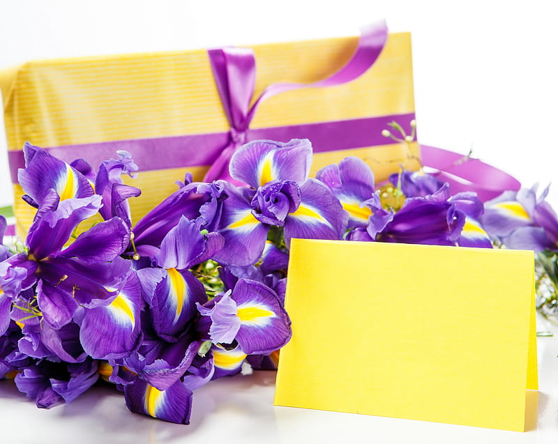 With Love , present, ribbon, yellow, gift, birtay, mauve, special days, purple, love, flowers, iris, HD wallpaper