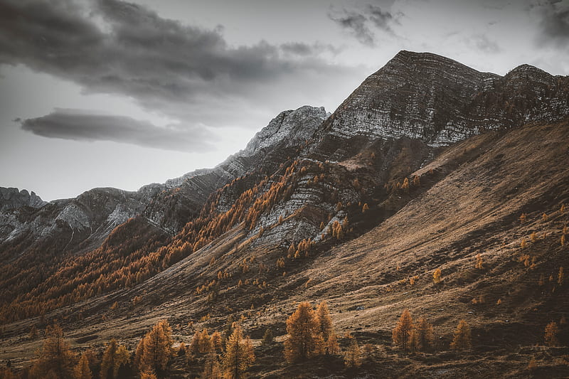 mountains, slopes, trees, peaks, nature, HD wallpaper