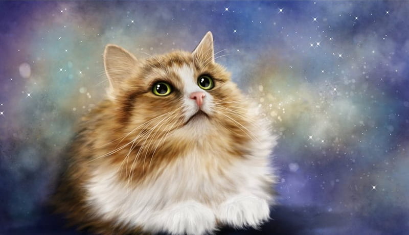 Hình nền Shurik fantasy cat - Nếu bạn yêu thích thú cưng và fantasy, hình nền Shurik fantasy cat sẽ khiến bạn hài lòng. Với bộ sưu tập các hình ảnh khác nhau, chú mèo tinh nghịch này sẽ mang lại cho bạn sự thư giãn và niềm vui khi truy cập internet.