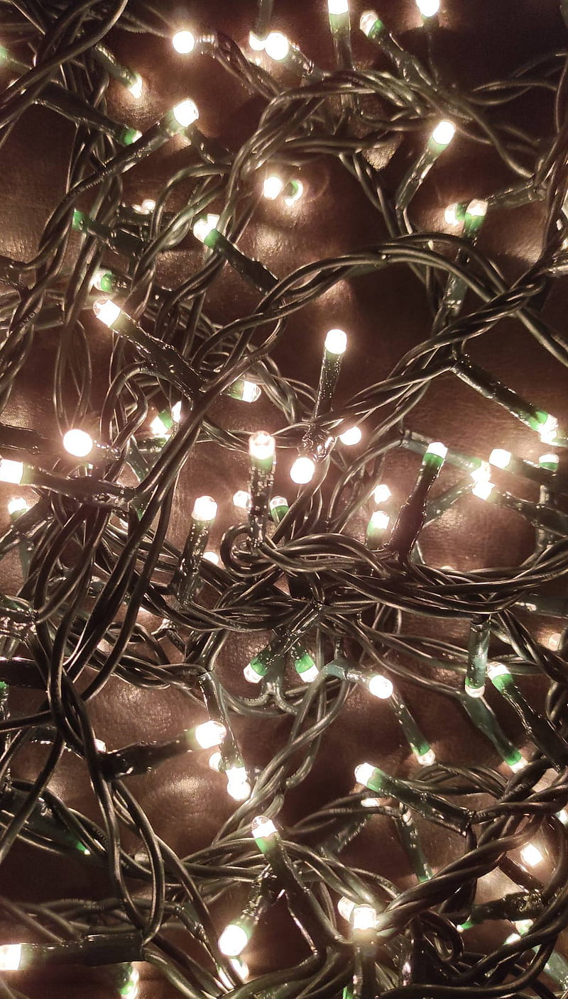 Christmas Lights, black, christmas, christmas tree, december, holidays, light, light bulbs, santa, white, winter, HD phone wallpaper