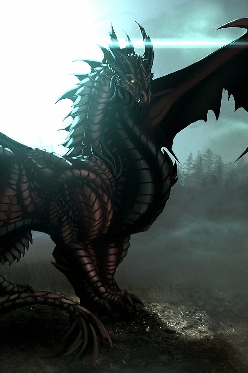 Dragon Of Black, black, dragon, fantasy, fire, i4, mythic, HD phone wallpaper