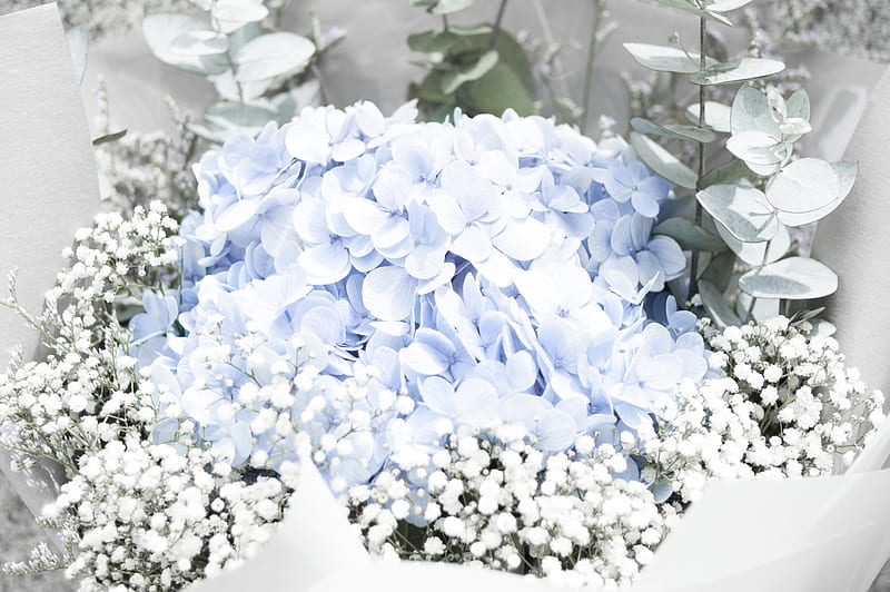 closeup of blue petaled flower arrangement, HD wallpaper