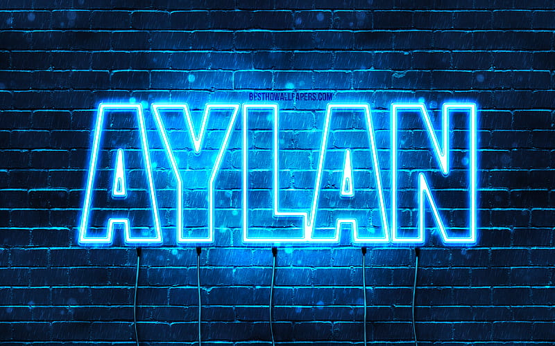 hd-aylan-wallpapers-peakpx