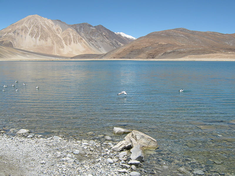 pangong lake ladakh india, ladakh, kashmir, lake, shashank shekhar, HD wallpaper