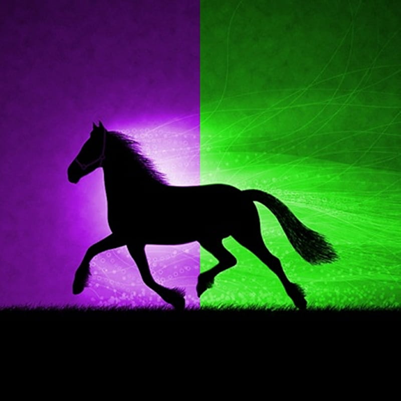 Miss to the rest, rest, purple, green, black, horse, miss, energy, animal, HD wallpaper