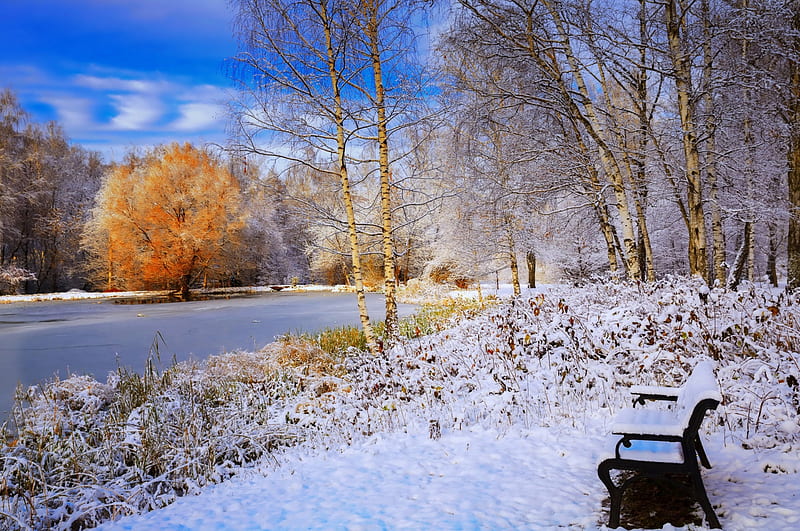 Winter day, rest, bench, bonito, winter, cold, snow, ice, day, landscape, frost, HD wallpaper