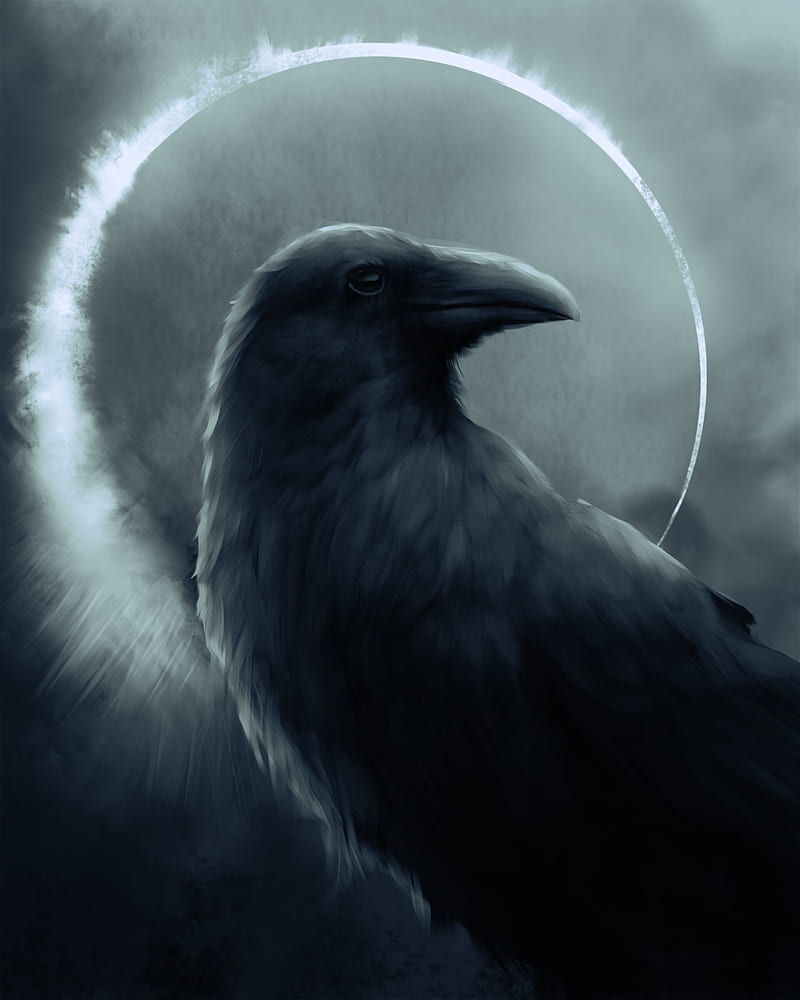 evil raven drawing