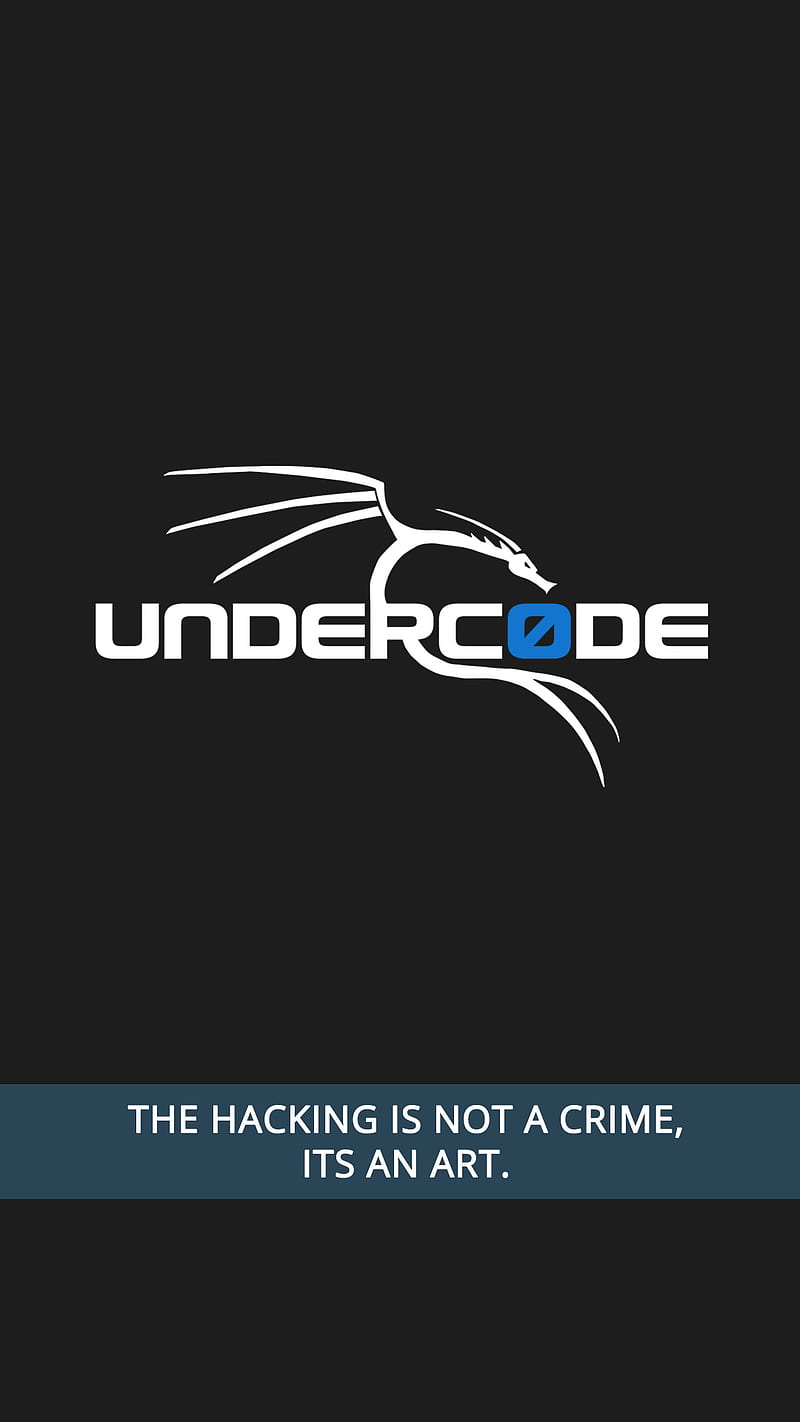 Underc0de Dragon bq, cyber security, dragon, hacker, hacking, quote, security, theme, underc0de, HD phone wallpaper
