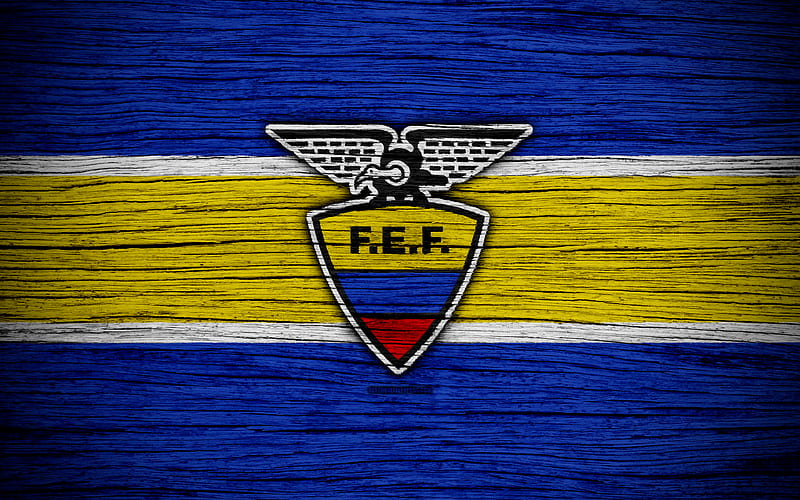 Ecuador national football team, logo, North America, football, wooden texture, soccer, Ecuador, emblem, South American national teams, Ecuadorian football team, HD wallpaper