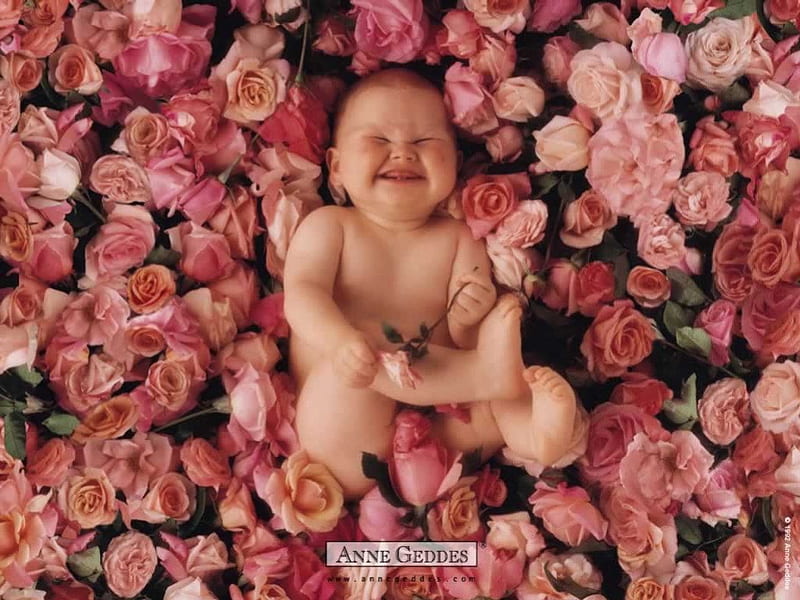 Cute Baby In a Bed of Roses, cute, flowers, smile, child, roses, baby, HD wallpaper