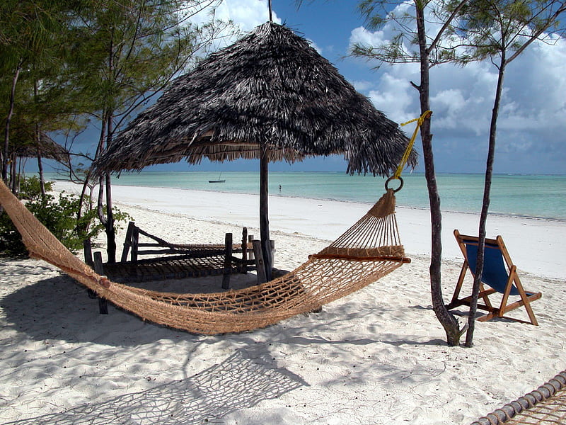 Hammock at Zanzibar Beach, sand, water, white, straw, umbrellaw, sea, palms, HD wallpaper