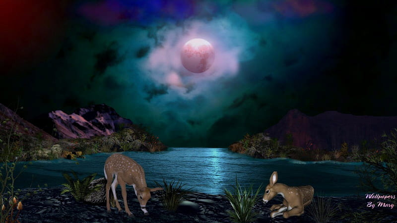 Pink Moonrise 1600x900, moon, lakes, fawns, mountains, animals, deer, HD wallpaper