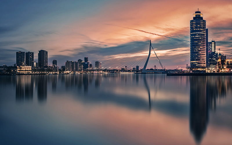 Erasmusbrug, Rotterdam, evening, sunset, cityscape, skyline, landmark, Netherlands, HD wallpaper