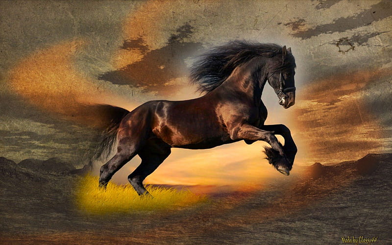 Wild Stallion, beautiful, sunset, sky, clouds, horses, spirit, stallion, wild, HD wallpaper