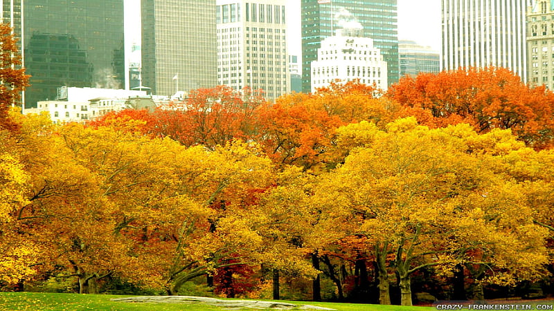 Autumn in New York, colorful, NewYork, city, autumn, HD wallpaper