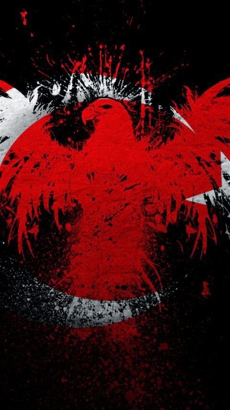 Turkey, eagle, eye, kirmizi, red, HD phone wallpaper