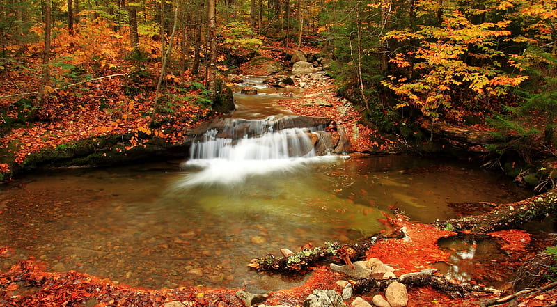 Waterfall in Motion, stream, rocks, forest, autumn, leaves, waterfall ...