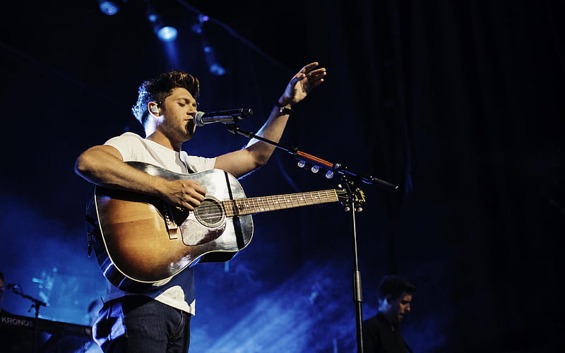 Niall Horan Irish singer, concert, musicians, HD wallpaper