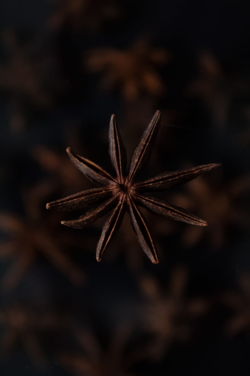 cinnamon, spice, macro, brown, focus, HD phone wallpaper