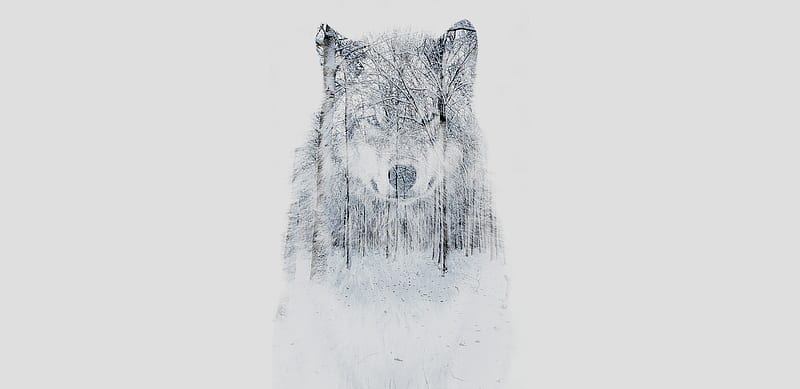 Woods in the Wolf, bonito, cold, dire wolf, direwolf, ice, rds90, rds90 design, snow, HD wallpaper