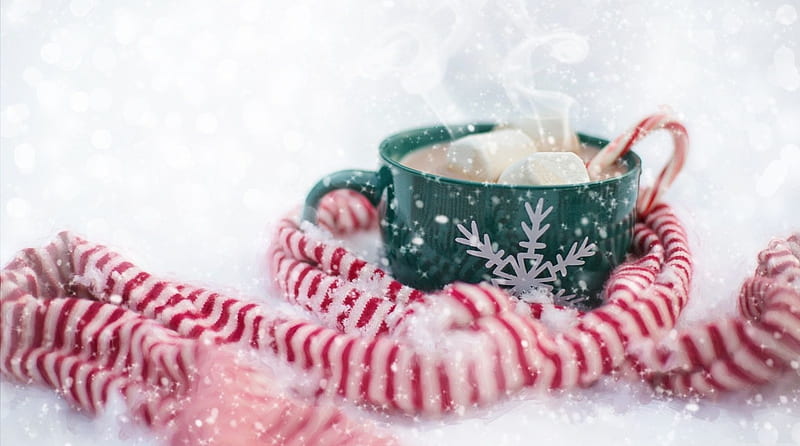 Xmas hot chocolate, drink, abstract, Xmas, hot chocolate, winter, Christmas, holiday, softness, cold, still life, graphy, HD wallpaper