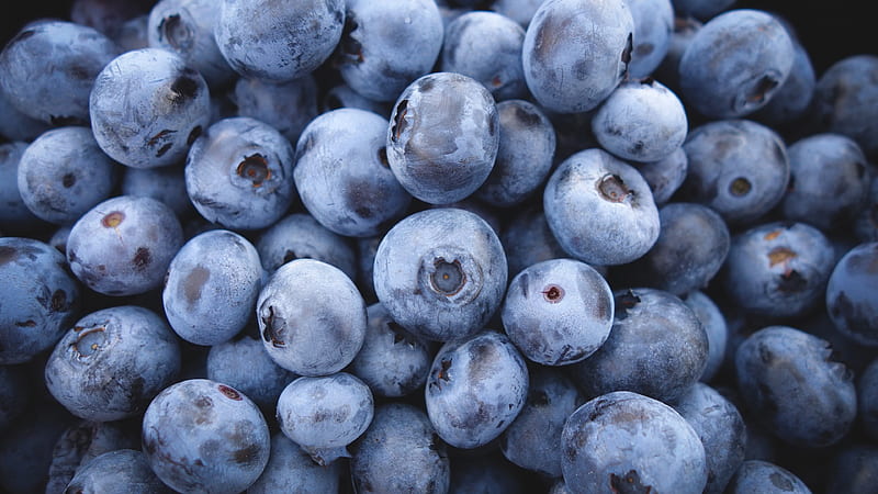 Blueberry, blueberry, fruits, HD wallpaper