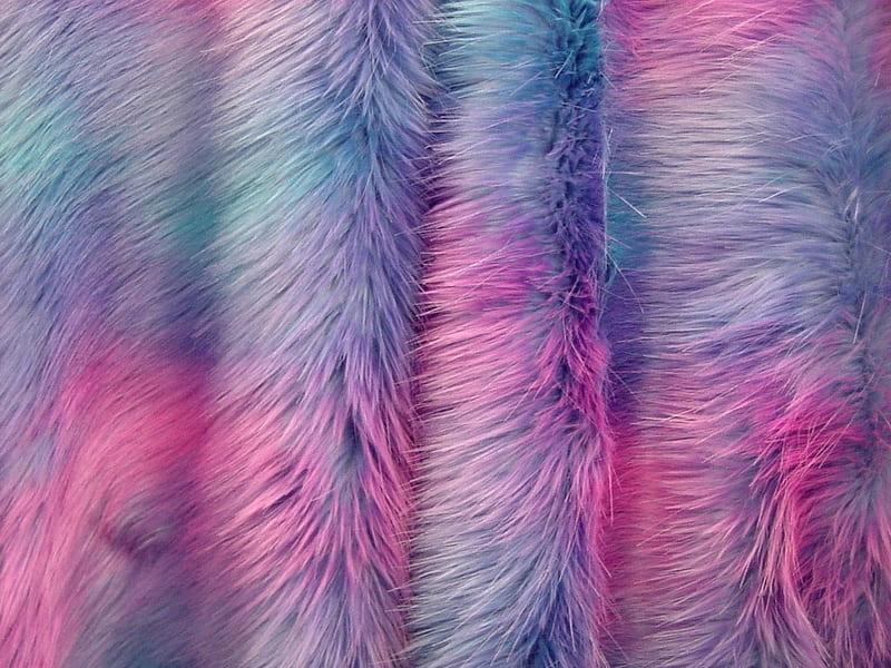 Texture, pink, blue, fur, HD wallpaper