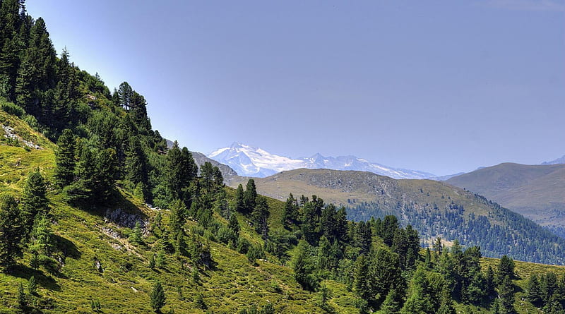 wonderful mountain scape, forest, ridge, snow, mountains, HD wallpaper