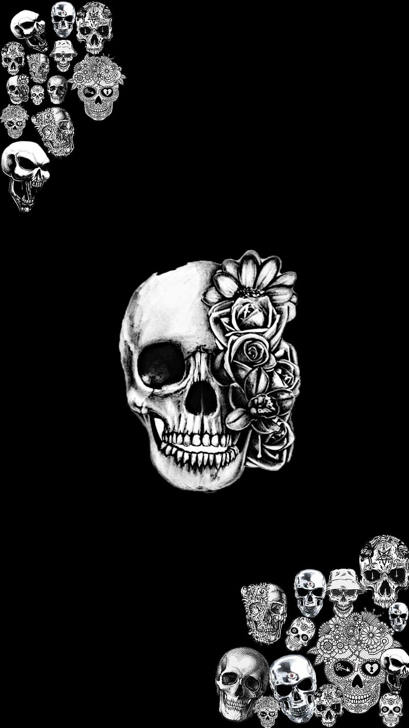 Skull, kafa, kuru, Şahin, HD phone wallpaper