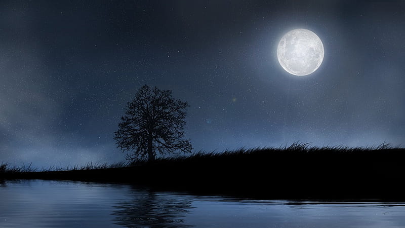 giant moon amongst the stars, stars, tree, moon, lake, night, HD wallpaper