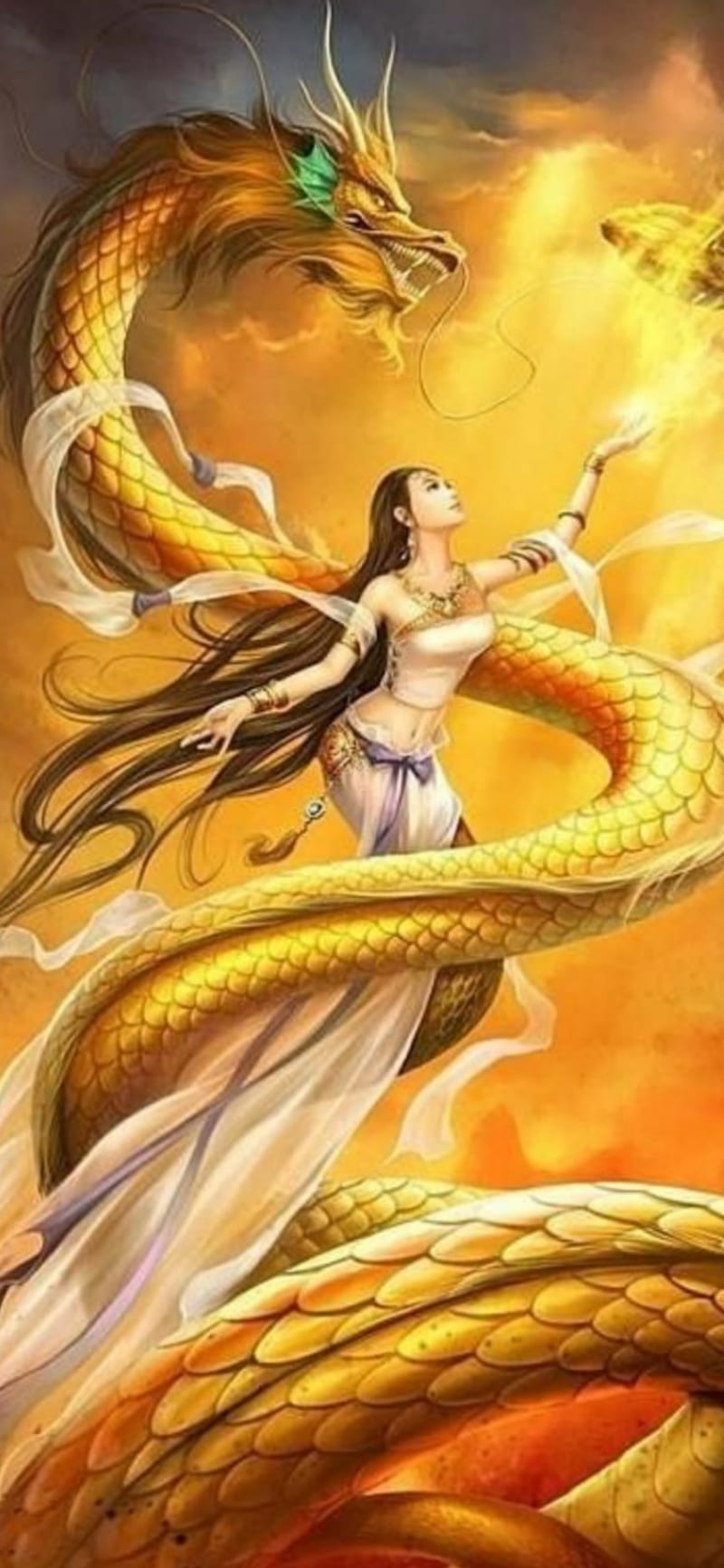 Golden Dragon, legend, mythe, HD phone wallpaper