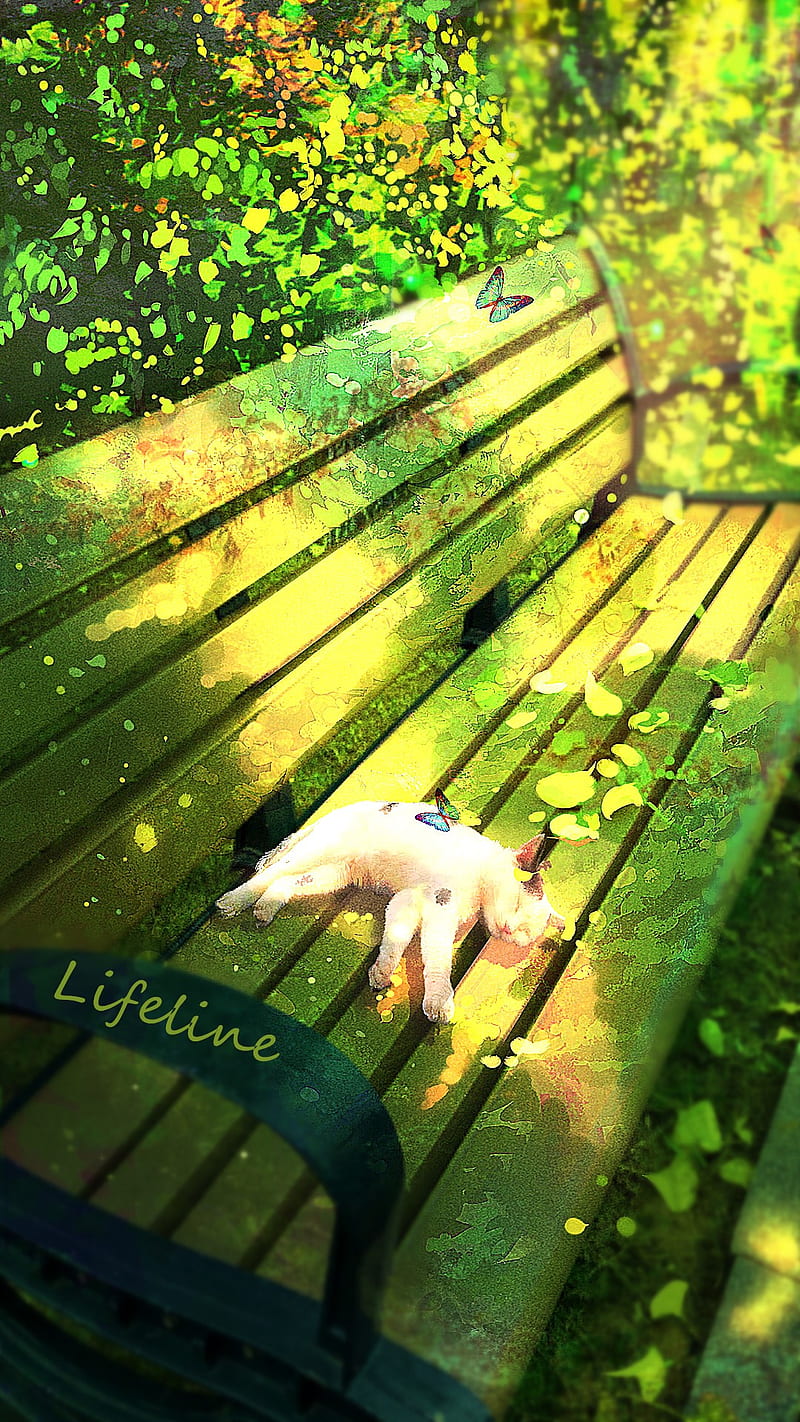 Anime, Lifeline, bench, cats, plants, butterfly, HD phone wallpaper | Peakpx