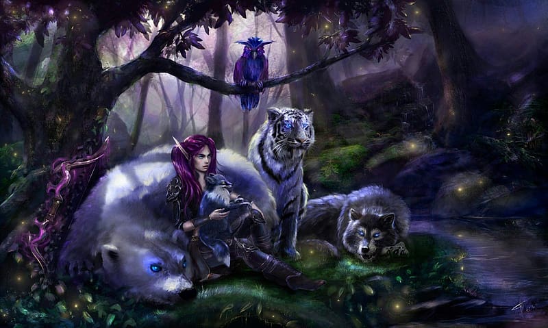 :), fantasy, tiger, bear, elf, wolf, owl, night, blue, girl, purple, HD wallpaper
