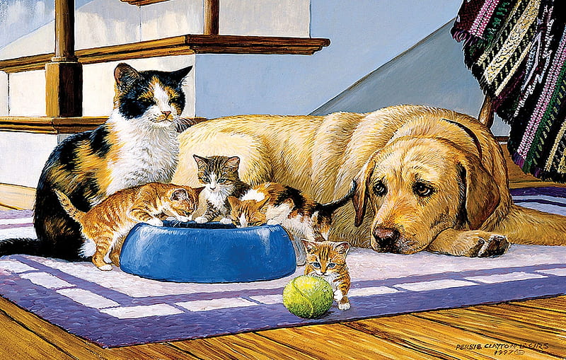 What's a dog to do? by Persis Clayton Weirs, dog, art, persis clayton weirs, painting, cat, pisici, pictura, HD wallpaper