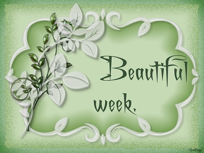have a beautiful week ahead